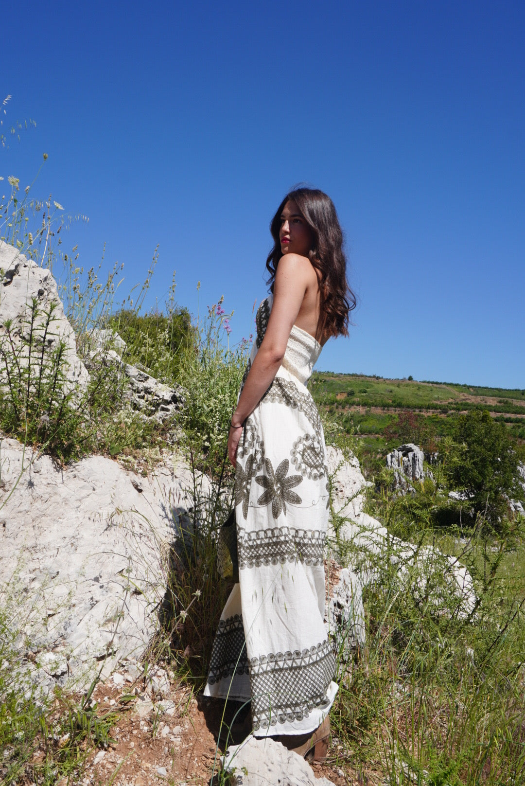 Embroidered Strapless Dress